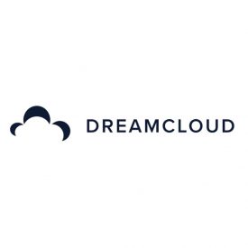 DreamCloud Best Rest Pillow