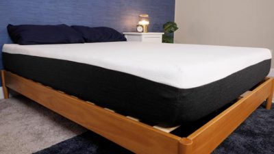 Bear Contour Pillow Review (2024) - Mattress Clarity