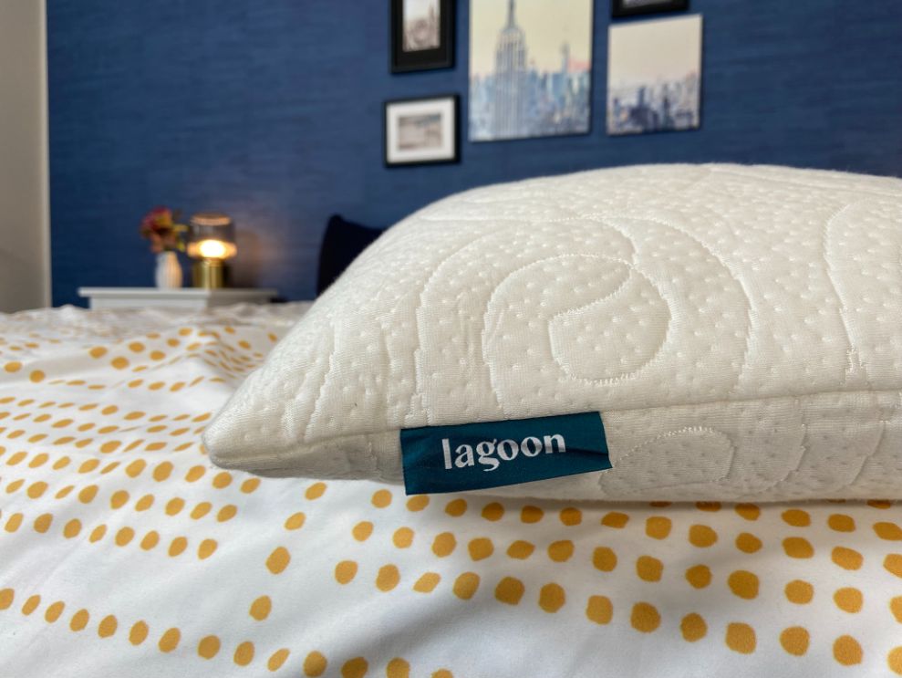 Lagoon Lemur Pillow
