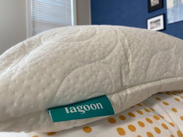 Lagoon Otter Pillow