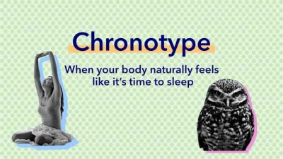 Chronotypes: Understanding Types & Impact on Sleep