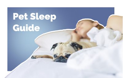 Sleeping With Your Pet: The Pros, the Cons, and How to Share a Bed