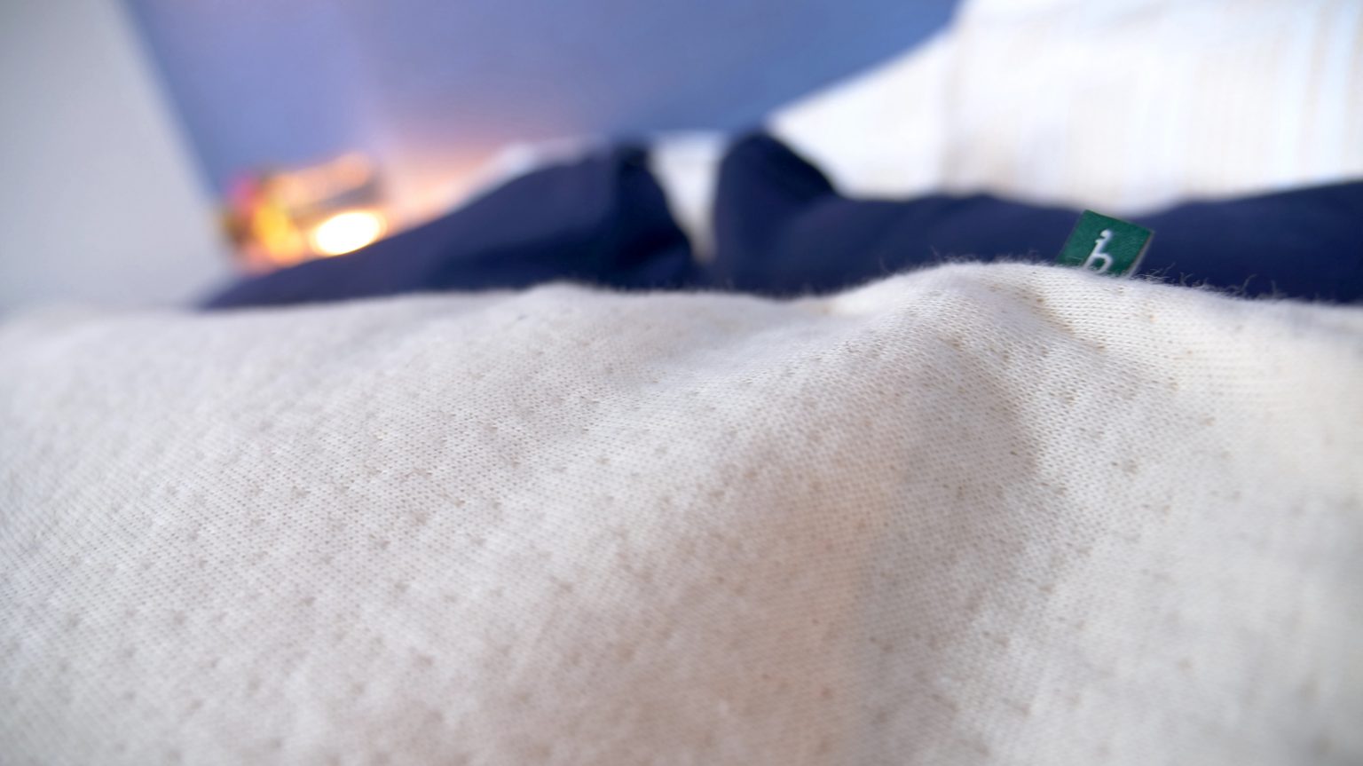 Birch Organic Pillow Review (2024) Sleepopolis