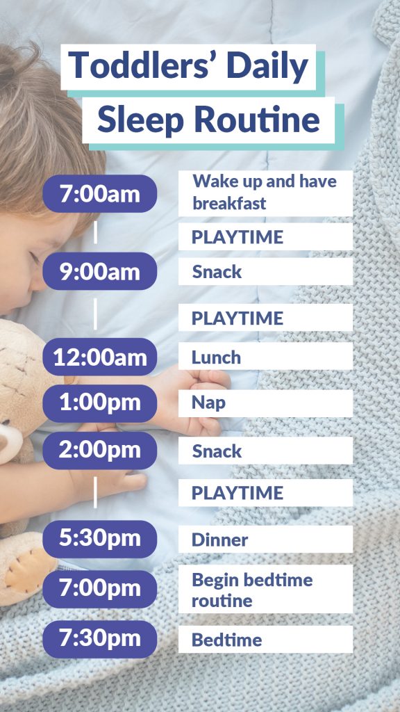 Toddler Sleep Schedules and Bedtimes with Tips from the Experts