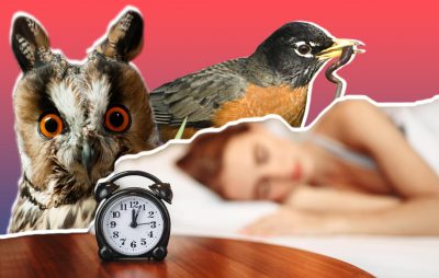 becoming a morning person or night owl