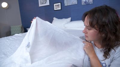 looking at parachute linen sheets