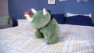 I Tried the TikTok-Viral Weighted Anxiety Stuffed Dino