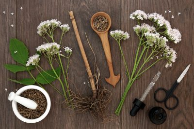 valerian root and flower