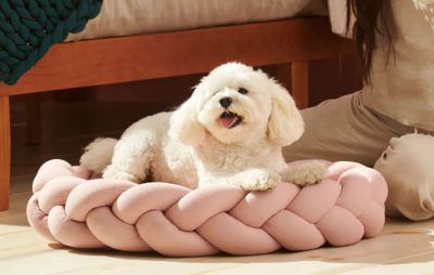 Endy on sale dog bed