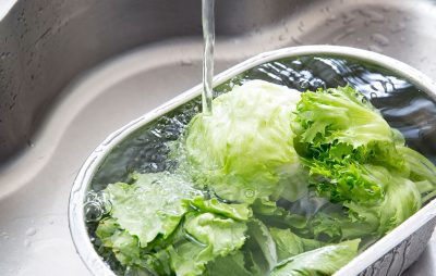 lettuce water
