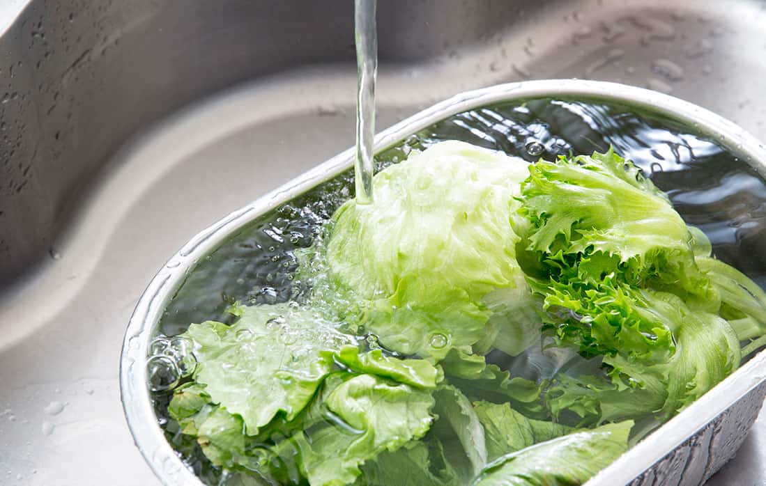 Everything You Need To Know About Lettuce Water And Sleep