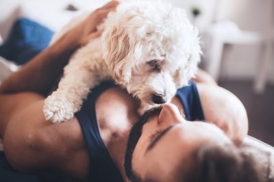 therapy dog doing deep pressure therapy