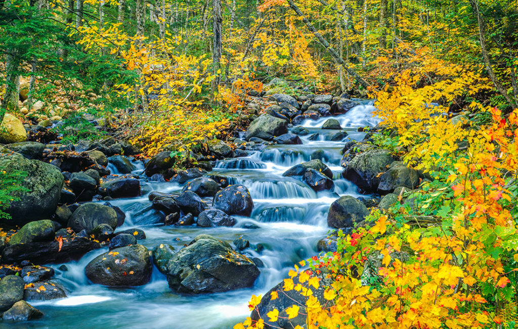 Beautiful waterfall