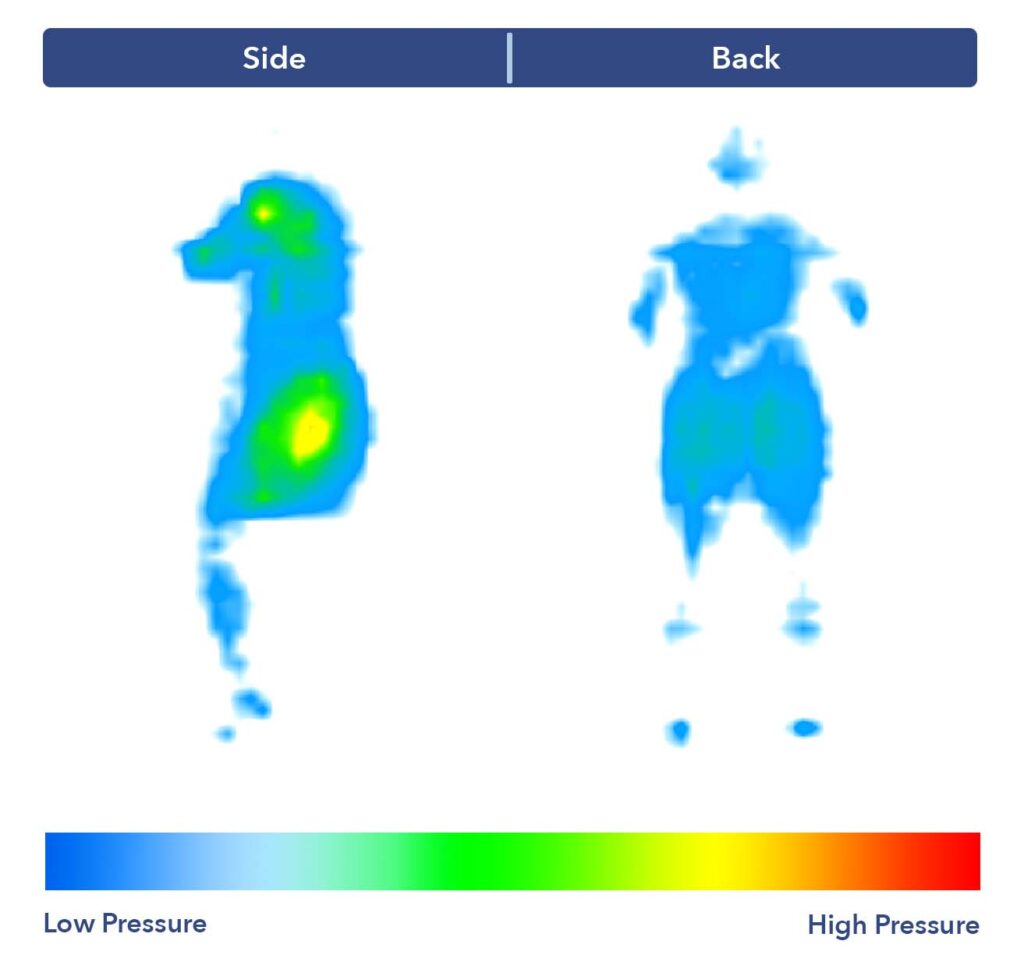 A Pressure Map of the Brooklyn Bedding's Signature Hybrid mattress