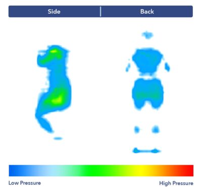 PressureMap BrooklynBeddingTitanPlus