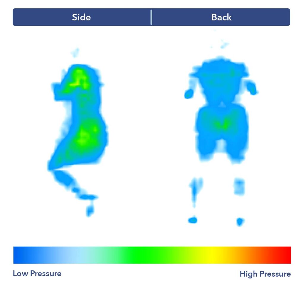 A pressure map graphic of the WinkBed Plus mattress.