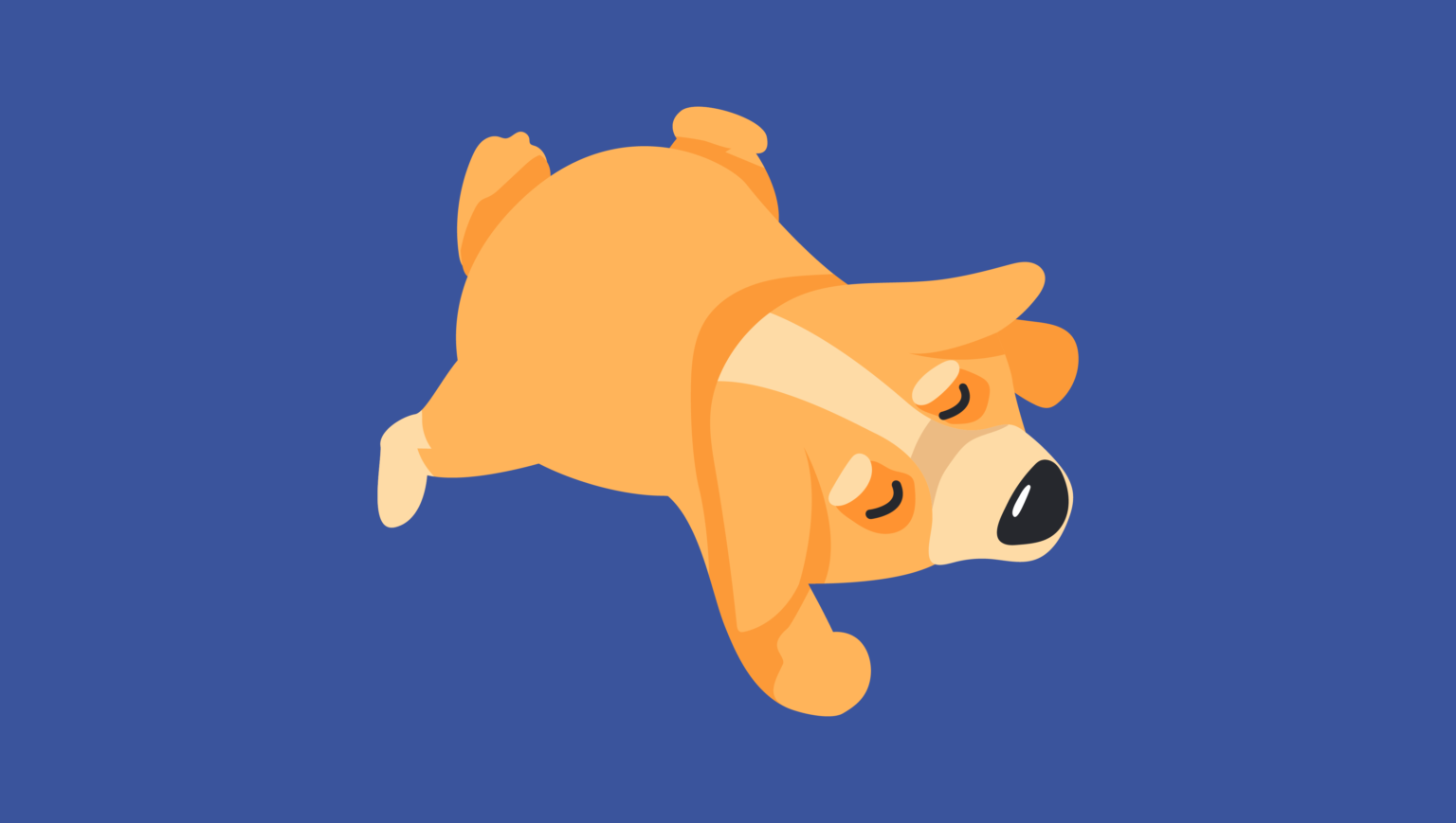 The Most Common Dog Sleeping Positions Explained Sleepopolis