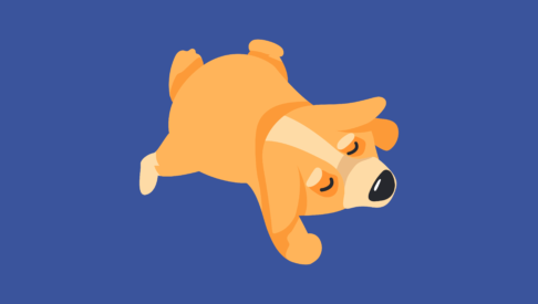 The Most Common Dog Sleeping Positions Explained | Sleepopolis