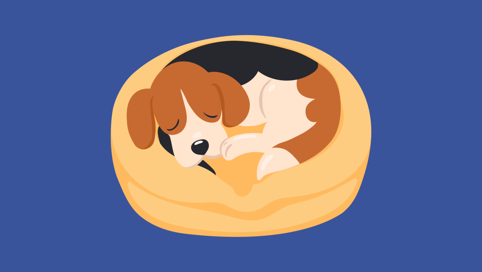 The Most Common Dog Sleeping Positions Explained Sleepopolis