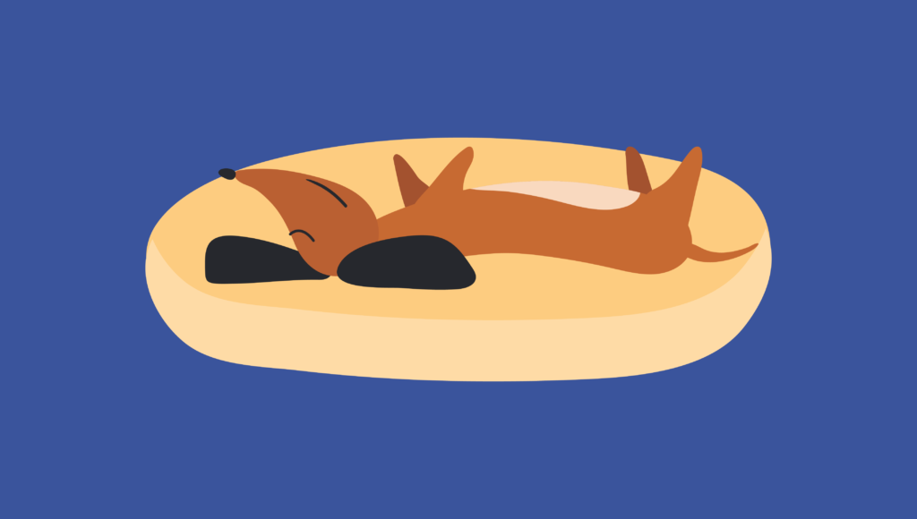 Dog Sleeping Positions 15