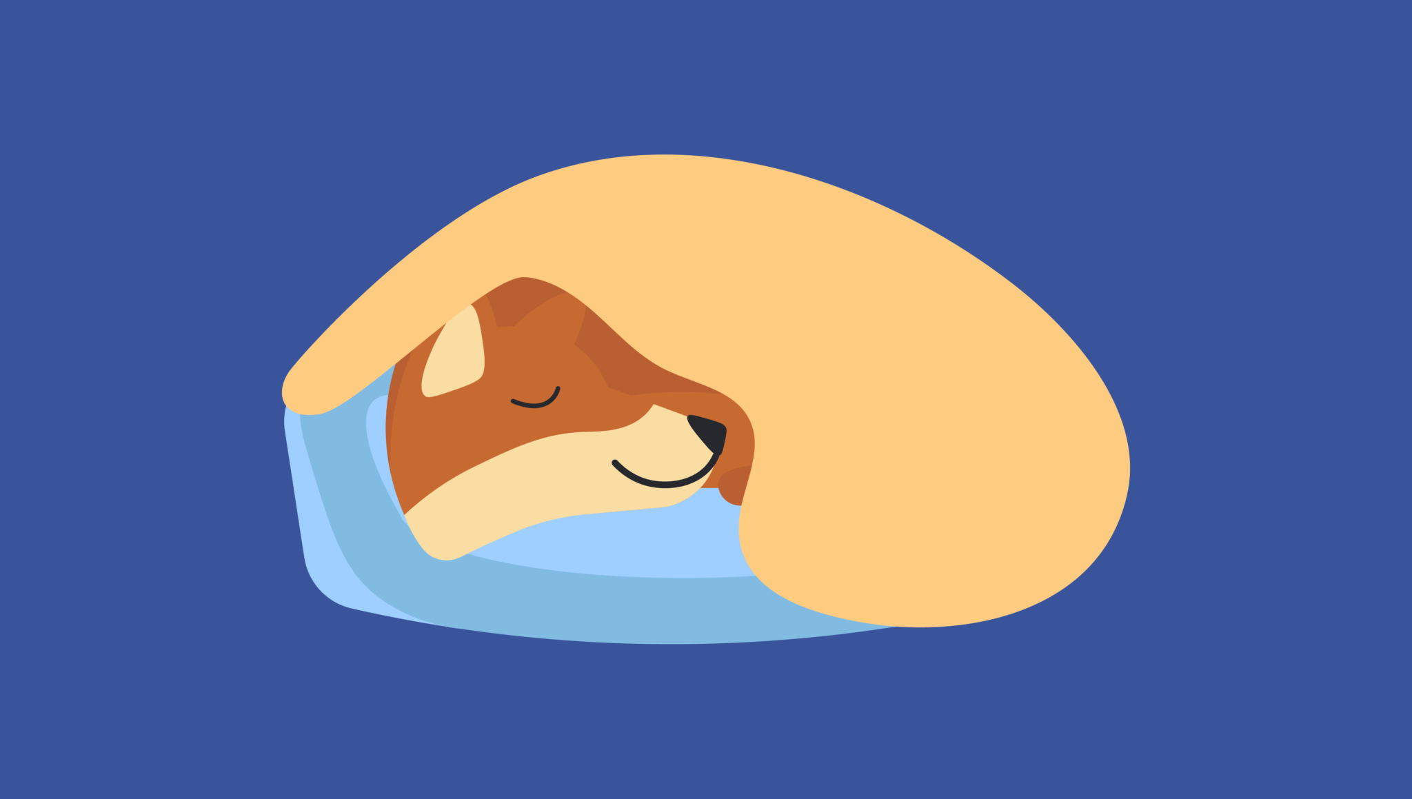 The Most Common Dog Sleeping Positions Explained Sleepopolis