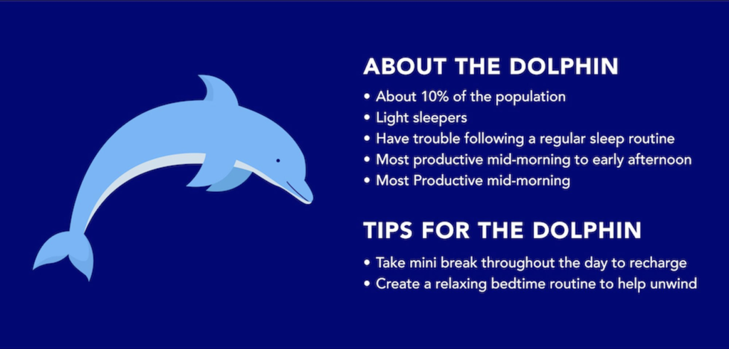 Facts about the dolphin chronotype