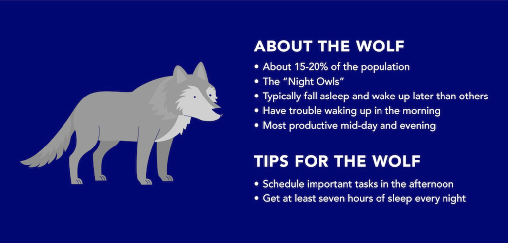 Facts about the wolf chronotype