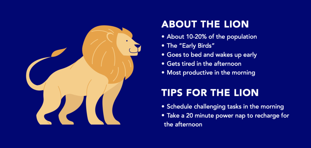 The Lion Chronotype: Your Ultimate Guide