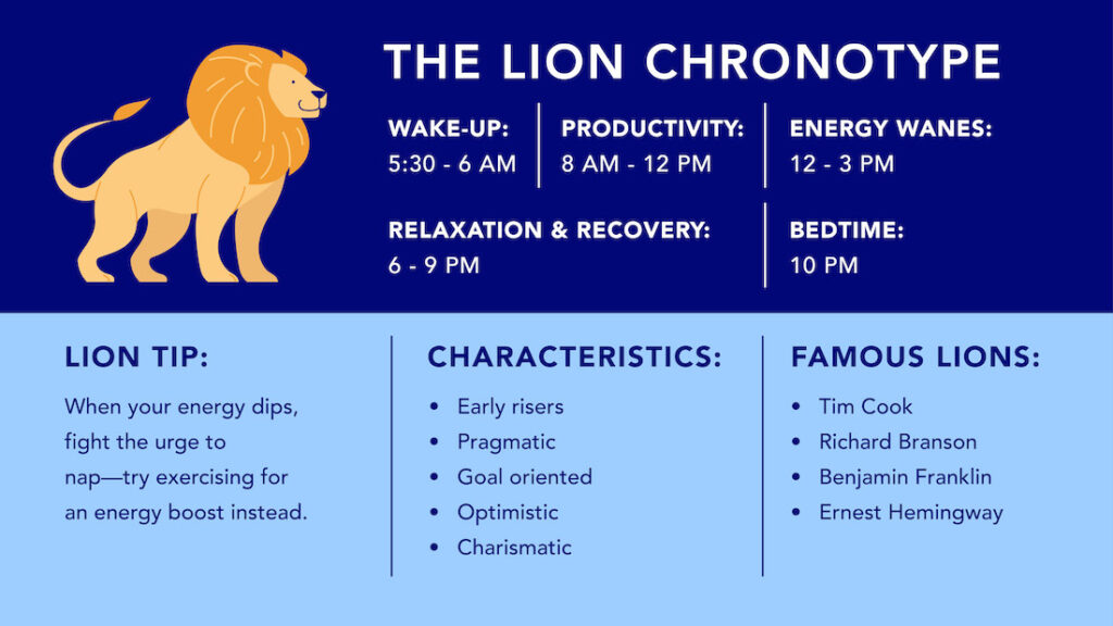 lion chronotype infographic