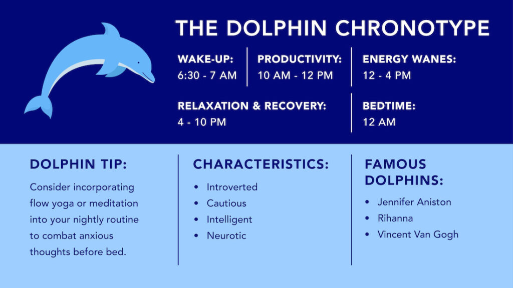 The Dolphin Chronotype's Ultimate Guide