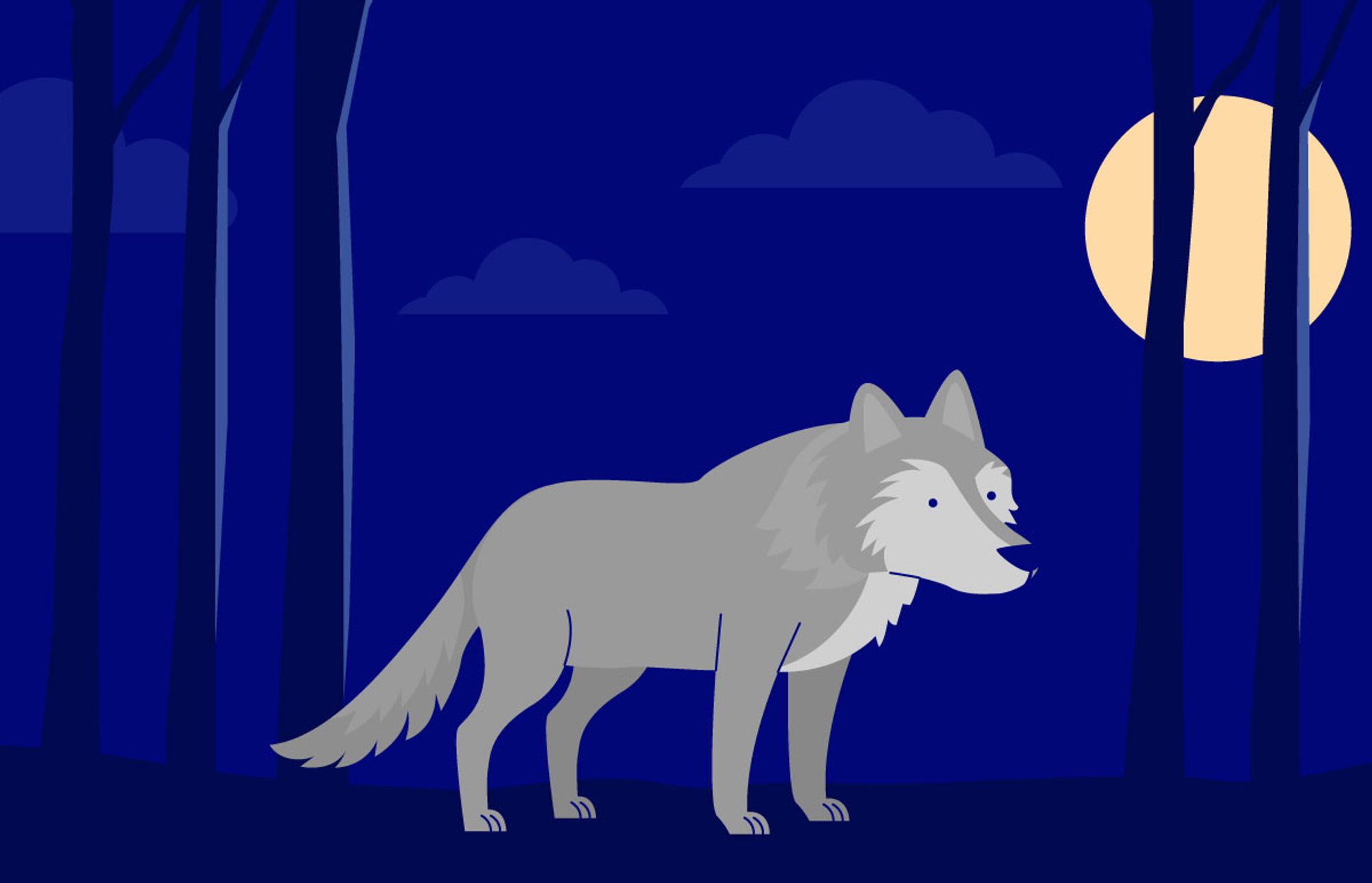 The Wolf Chronotype's Ultimate Guide | Sleepopolis