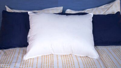 PlushBeds Down and Feather Pillows, Standard