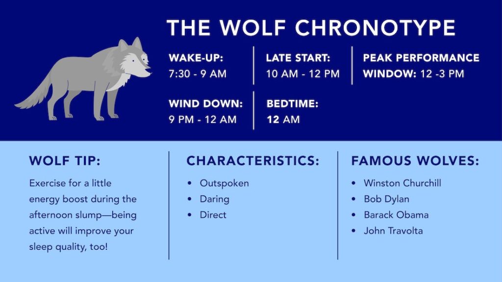 wolf chronotype infographic