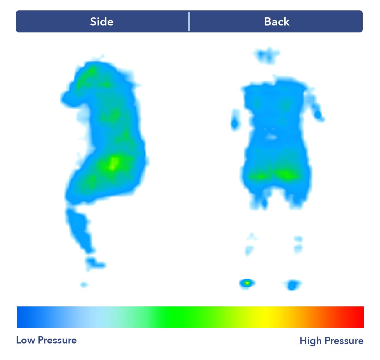 PressureMap NolahEvolutionComfort