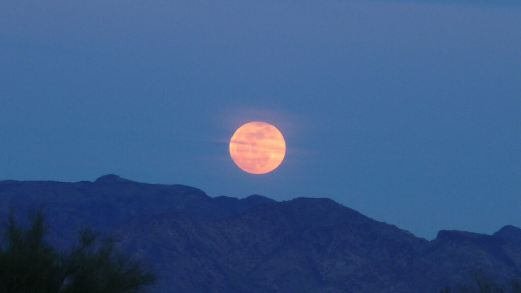 How the Harvest Supermoon Might Affect Your Sleep Sleepopolis