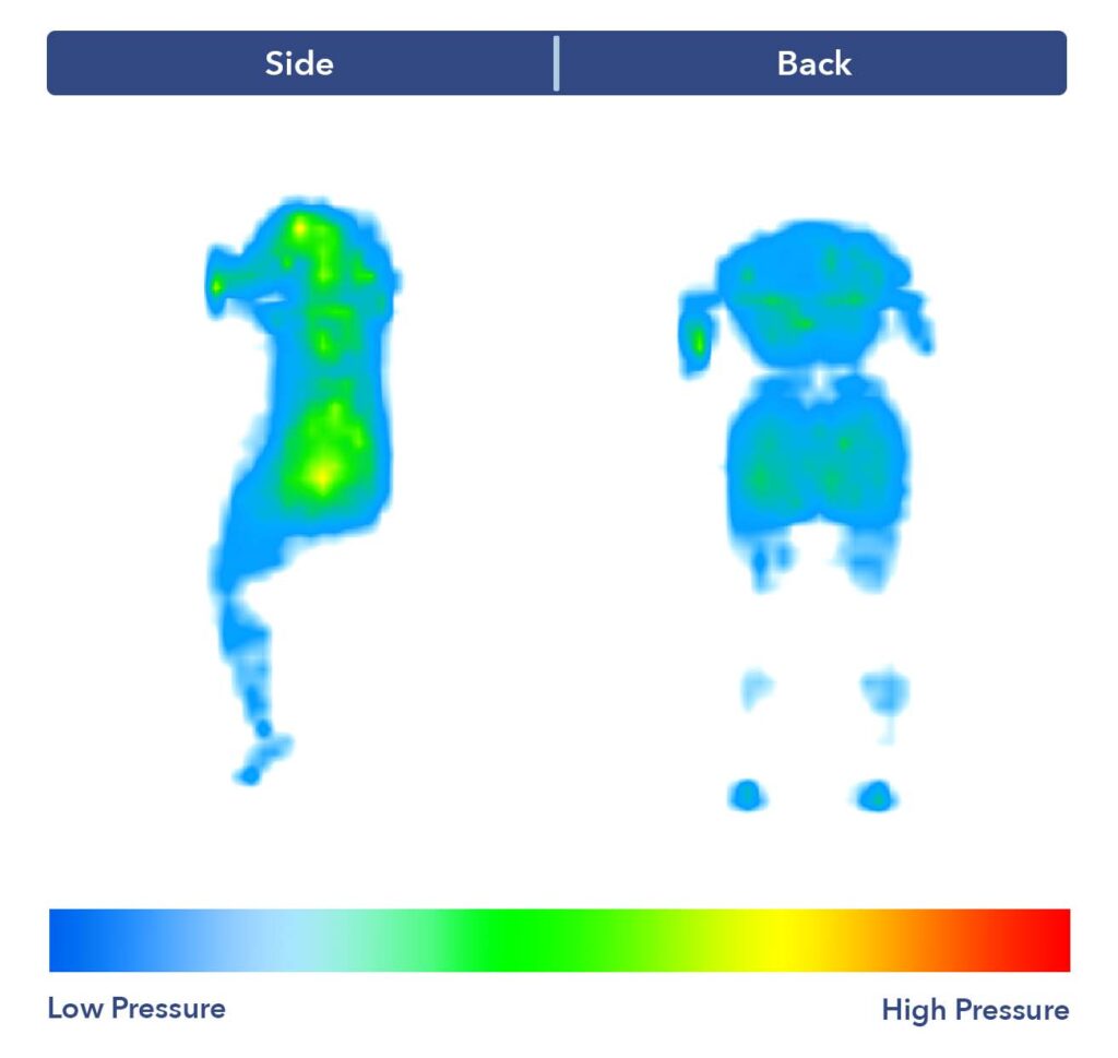 PressureMap Nectar