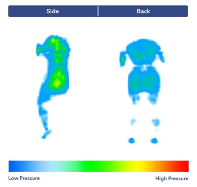 PressureMap Nectar