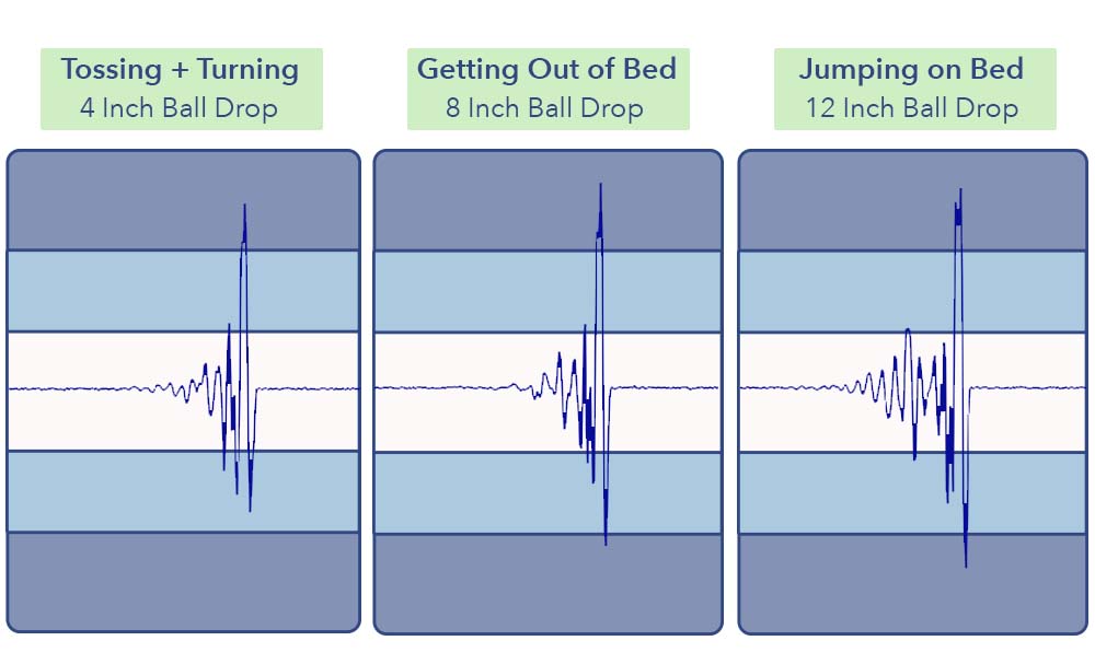 The Nectar Premier's motion transfer test results.