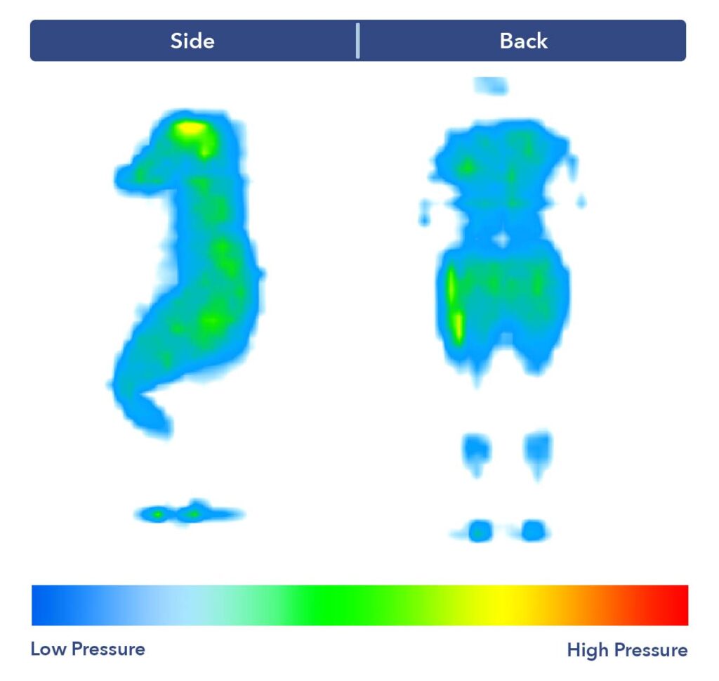 The Casper's pressure map test results.