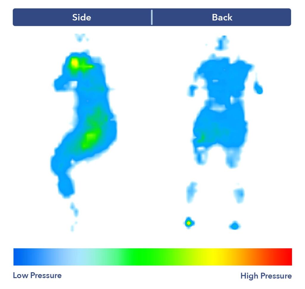 The Stearn & Foster Lux Estate's pressure map test results.