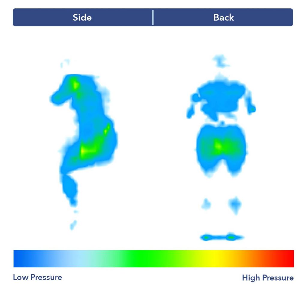 The TEMPUR-Cloud's pressure map test results.