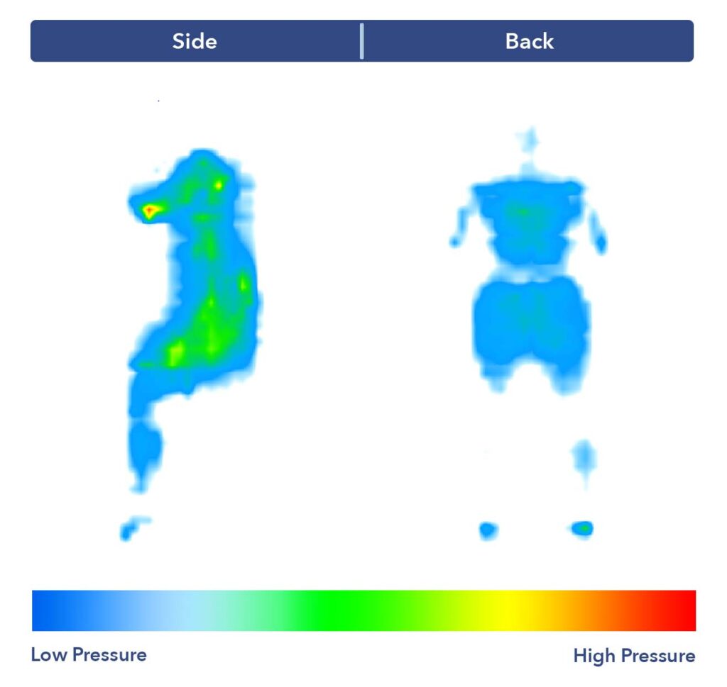 The Tuft & Needle's pressure map test results.