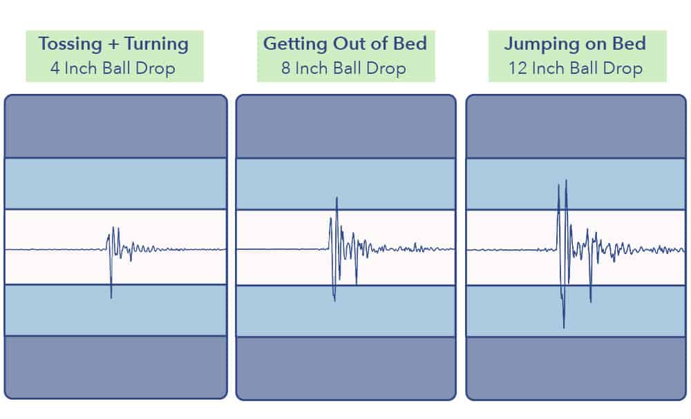 The Purple's motion transfer test results.