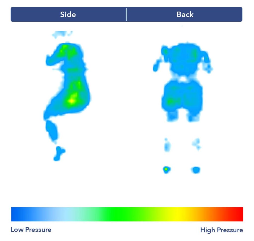 The DreamCloud's pressure map results.