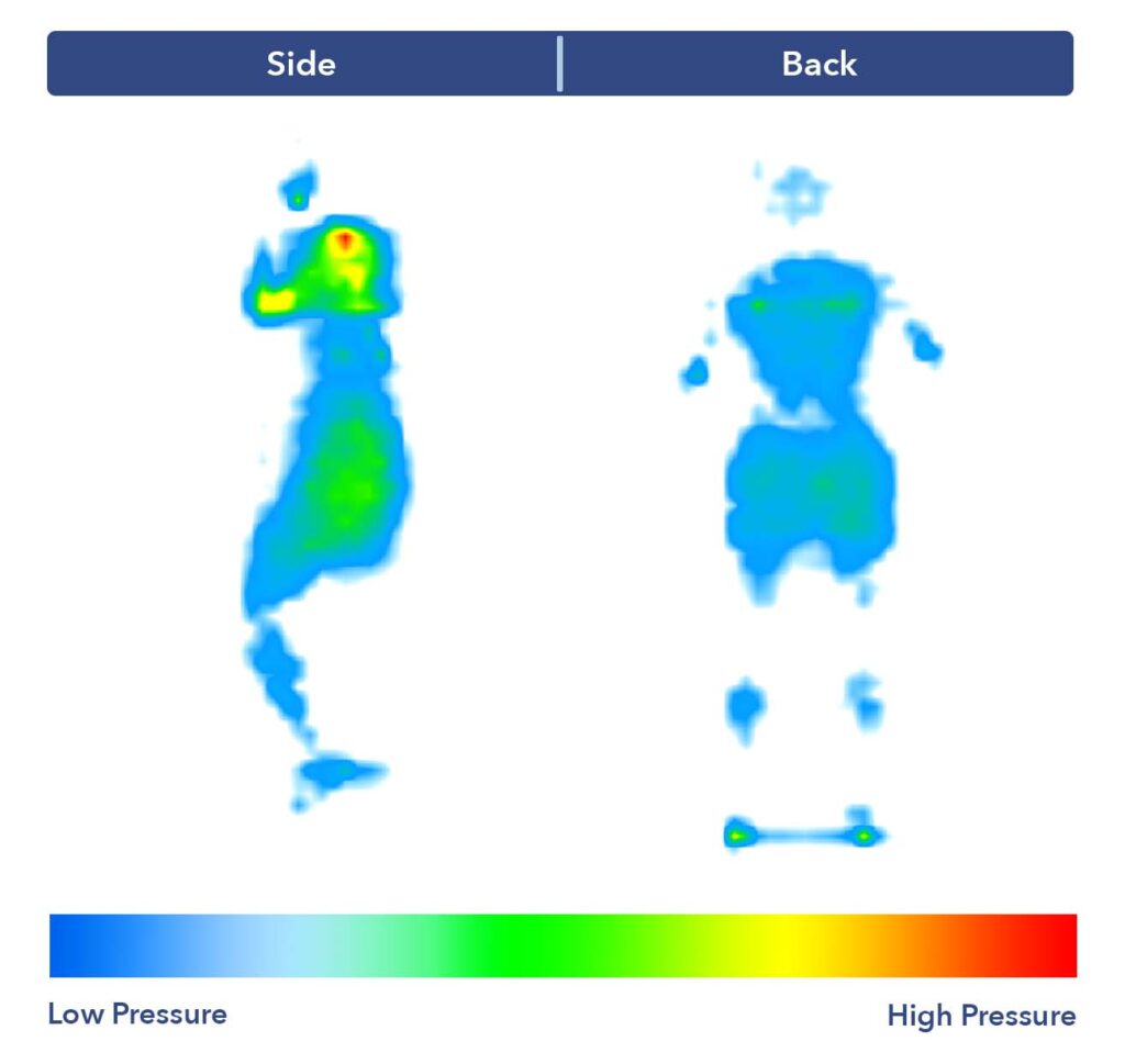 The DreamCloud Premier's pressure map test results.