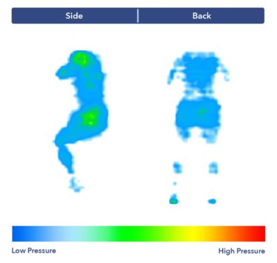 The DreamCloud Premier Rest's pressure map results.