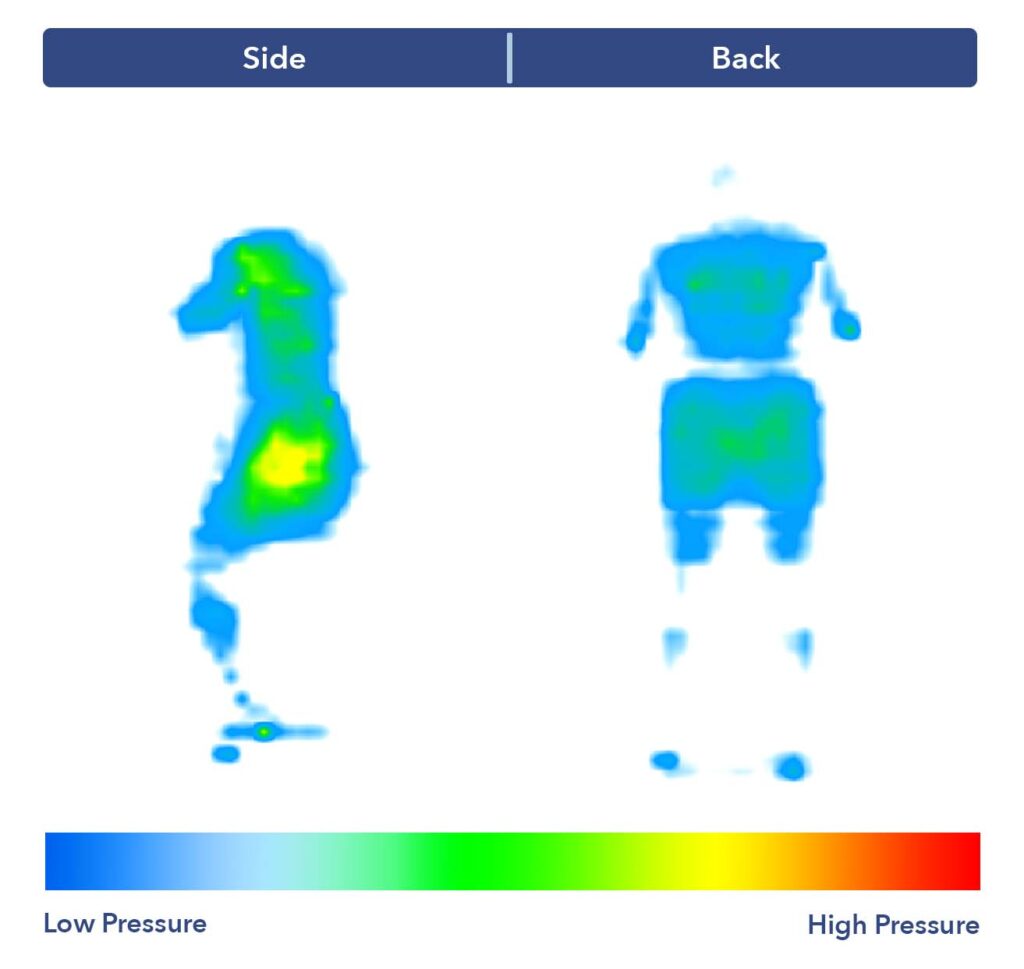 PressureMap SaatvaMemoryFoamHybrid