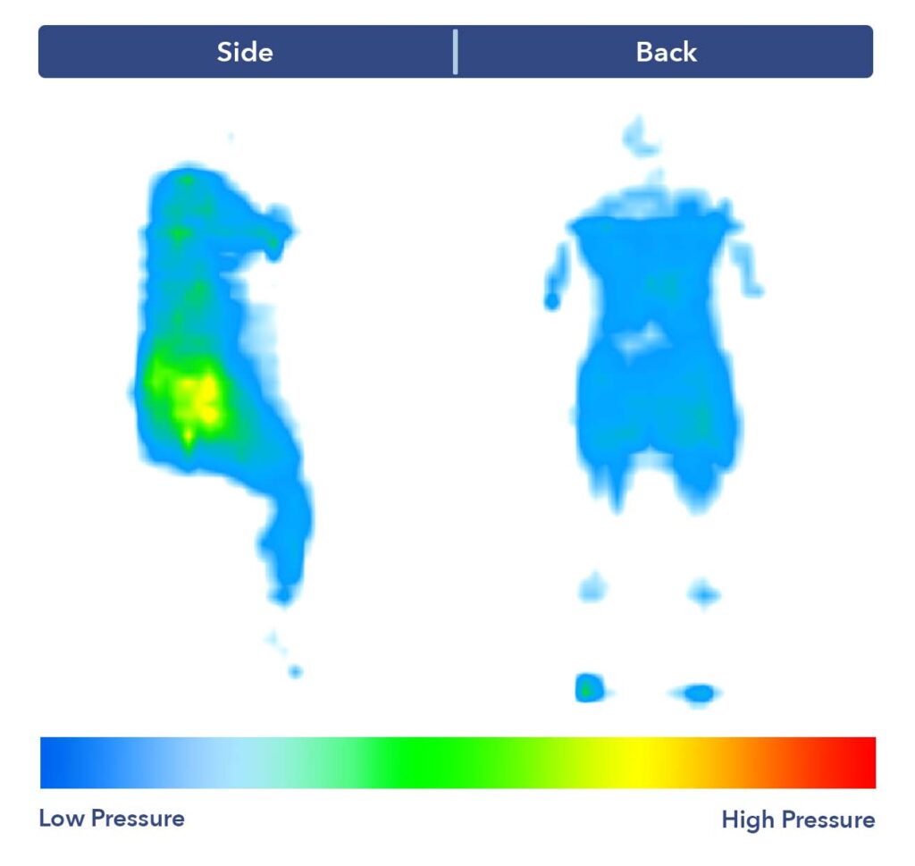 The Sealy Posturepedic's pressure map test results.