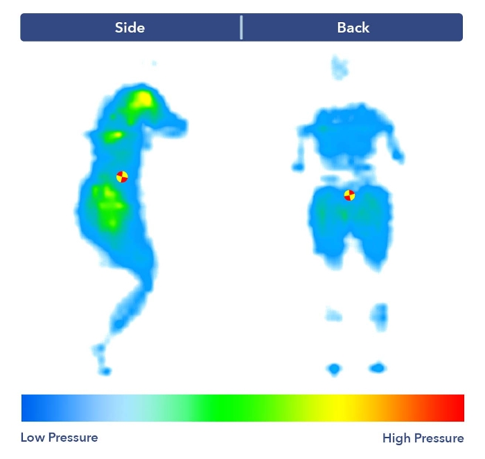 The Nolah Natural’s pressure map test results.