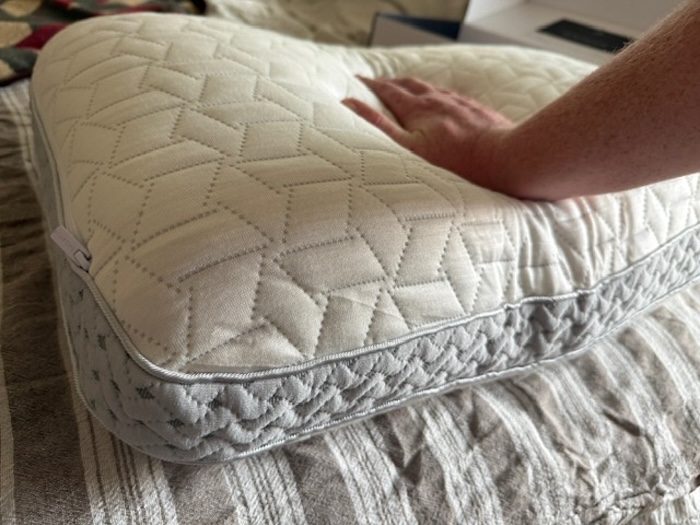 Luxome LAYR Pillow